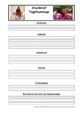 Tagpfauenauge-Steckbriefvorlage.pdf